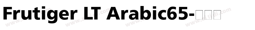 Frutiger LT Arabic65字体转换